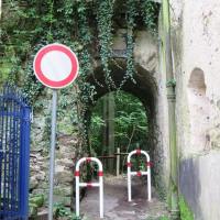 Rheinsteig-Day-8_exit-koblenz-into-the-forest