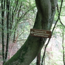 Rheinsteig-Day-8_sign-for-ruppertsklamm