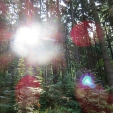 Rheinsteig-Day-8_sunbeams-through-the-treetops