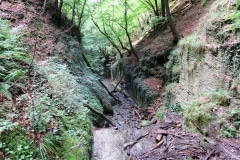Rheinsteig-Day-8_descent-in-the-ruppertsklamm