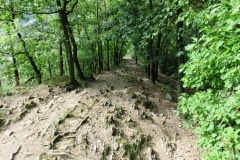 Rheinsteig-Day-8_descent-to-the-ruppertsklamm